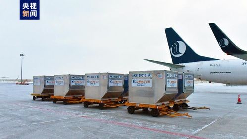 新疆首條定期國(guó)際貨運(yùn)航線正式通航，年貨運(yùn)吞吐量預(yù)計(jì)達(dá)3000噸