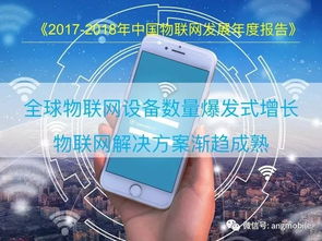 2018中國物聯網（IoT）報告 網絡信息技術開發進展與趨勢